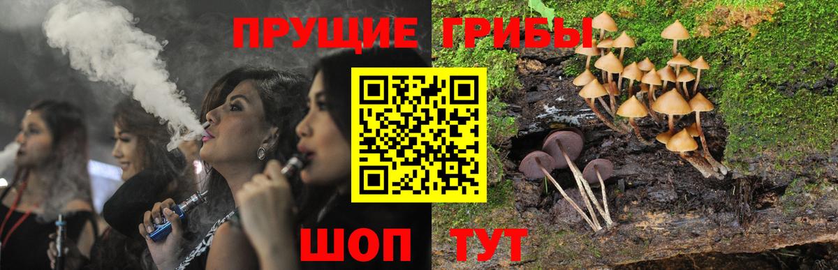 Нальчик  Псилоцибиновые грибы мухоморы  Вход с VPN 